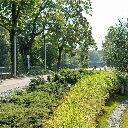 Art Market Square * Wroclaw