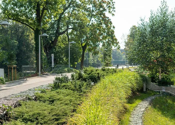 Art Market Square * Vratislav